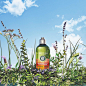 L'OCCITANE en Provence | 日本公式 (@loccitane_jp)的ins主页 · Tofo · Instagram网页版/好用的ins浏览器 (Lookins.me)