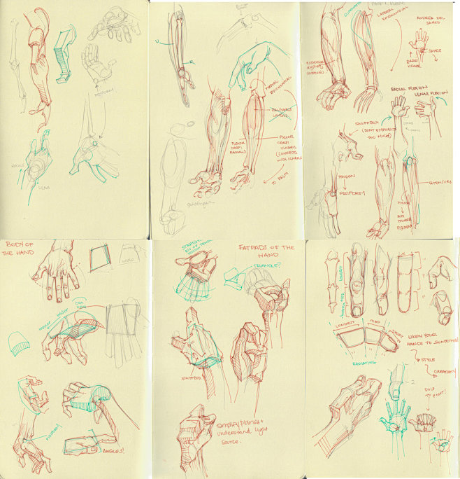 anatomy dump 4 by ka...