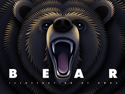 Bear animal illustra...