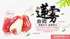 莲雾水蒲桃雾莲  - 源文件下载【酷图网】莲雾,洋蒲桃,紫蒲桃,水蒲桃,水石榴,天桃,兰香子,莲雾装饰画,莲雾挂画,莲雾灯箱,莲雾杂志,莲雾包装,莲雾单页,莲雾展架,水果宣传,蔬菜宣传,莲雾海报,莲雾广告,雾莲,丁当果,海南水果,水果店门头,金桃金娘,钟果,莲雾不干胶,莲雾高炮,葫芦瓢,团购莲雾