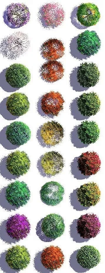 提升你的彩平，从选植物开始（内附彩平植物PSD）-花瓣网
