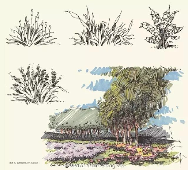 【绘画教程】植物的手绘教程~有简单有复杂...