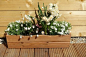 spring flowers on wood