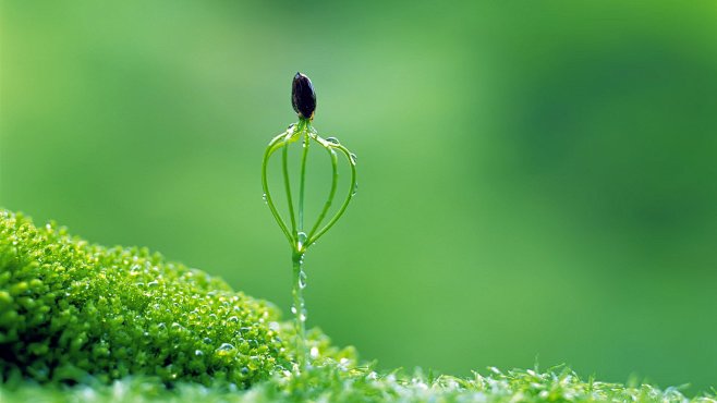 2020年护眼小清新壁纸电脑桌面高清全屏19201080的搜索结果360图片