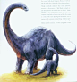 野兽战争（Beast War）·骷髅岛生物档案_真人世吧_煎包雷龙（Baxteri Brontosaurus），又译“面包厨雷龙”或简称“巴氏雷龙”。长颈蜥脚下目，骷髅岛上的一种大型四足素食恐龙。骷髅岛上体形第一大的植食族群。一头成年的煎包雷龙，身躯最长可达80英尺-----120英尺*（约合24.38米-----36.58米）左右；一般煎包雷龙个体，头到脚最高可达45英尺*（约合13.71米）-----由此而赋予了煎包雷龙能吃到20英尺高处任何枝叶的好处，以及它们那“全骷髅岛皆无其它能及”的高远视野。