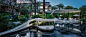 cover_image