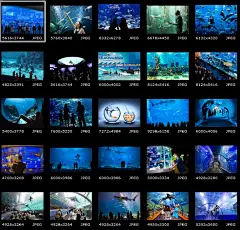 JPG 25p海洋公园海底世界 网站PS 可以印刷海报 高清摄影图片素材-淘宝网