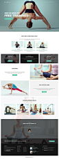 FightClub - Mma Bodybuilding Fitness & Yoga WP Theme : FightClub is a powerful and flexible wordpress theme perfect for all kinds of sport related websites. A lot of pre-made demo home pages (constantly updating) will allow you to easily create great 