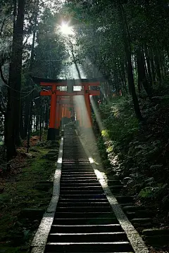 Life in Japan&lt;br/&gt;