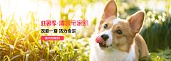 叼根棒棒糖闯天下Zzz采集到1