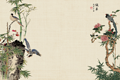 咖啡色小喵喵采集到素材