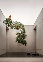 西安中海未来之境 | ENJOYDESIGN燕语堂 | 2024 | 中国陕西_vsszan1878971100075018.png