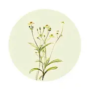 HE某