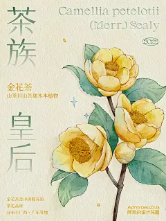 iPad插画神秘的金黄色山茶花(含线稿) - 小红书