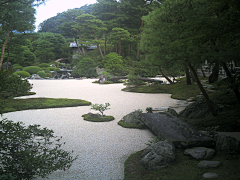 YJ+采集到植物空间