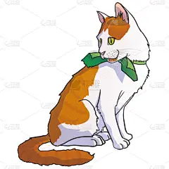 可爱的,绘画插图,猫,矢量,背景分离,小的,动物,尾巴,爱