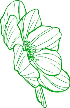 花系统  - 源文件下载【酷图网】花,鲜花,花卉,手绘花卉,手绘花卉框架,线条花,角花,花纹,玫瑰花,太阳花,花苞,花骨朵,花型,花心,花形状,线条画,素描花,花朵