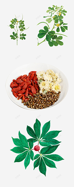 孔意涵采集到中医中药素材