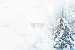 雪,寒冷,一月,霜,壁纸,云杉,杉树,松树,背景,节日