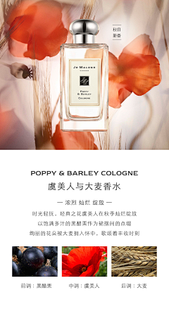話不投機果粒多采集到Jo Malone