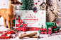 Top Creative Work On Behance : Showcase and discover creative work on the world's leading online platform for creative industries.