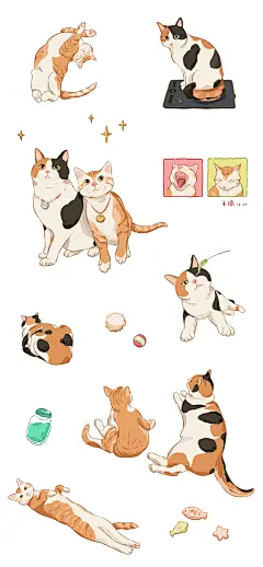 吾家有橘_半橘__插画师作品_涂鸦王国gracg.com