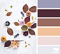 Design Seeds : Design Seeds color palettes ... posted daily for all who love color.