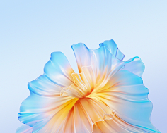 桌面壁纸-花瓣网|陪你做生活的设计师 | Wallpaper 6 YTECHB