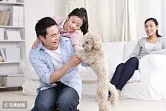 一家三口和泰迪狗 - Originoo锐景创意 图片详情