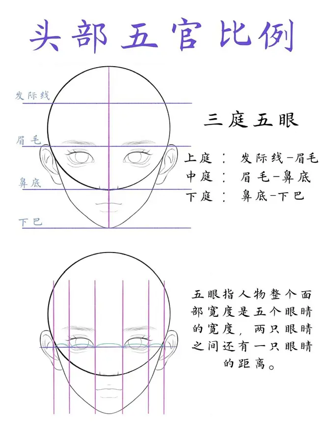 头部五官比例｜五官绘画教程｜零基础必看-花瓣网