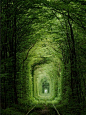 “爱的隧道”位于乌克兰东部一个名叫克莱旺的小镇附近，是一段长约3公里的铁路。但它与众不同的地方在于，其四周是由树木及绿色藤蔓围绕而成，绿色植物构建成了拱形结构，将整条铁路包裹起来，变成了一条绿色的通道。