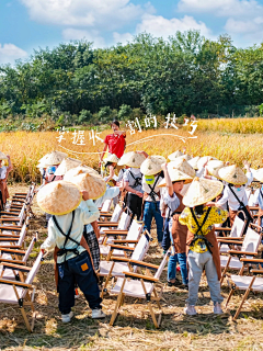 迷你酸奶采集到来自微信小程序