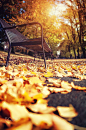 park bench autumn by Sean Gladwell on 500px