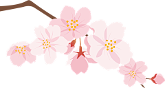 吃货·大芒果采集到【素材】-PNG-植物/花草