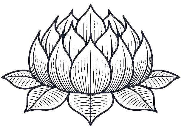 莲花 中国风 PNG
