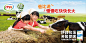 beijing-eye-production-yili-milk-campaing-2014-08-kids-photographer-china-anzu-bai-location-scouting-001.jpg.jpg (1024×515)