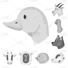 荷姆斯泰德,品牌名称,可爱的,农业,灰色,食品,莫诺湖,狗,猪,设计
