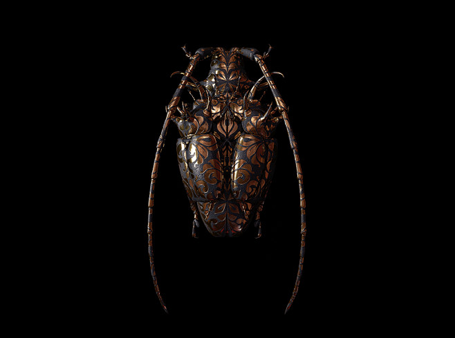 Engraved Entomology ...