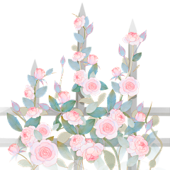 Emmanuel★quot;采集到植物