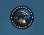 Proud Eagle 骄傲的鹰 鹰 雄鹰 飞行动物 鸟 运动 健将 商标设计 图标 图形 标志 logo 国外 外国 国内 品牌 设计 创意 欣赏