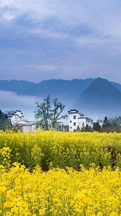 当骗子遇到骗子采集到风景摄影