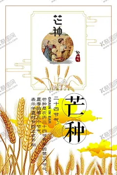 芒种 【酷图网】芒种,芒种节气,24节气,二十四节气,24节气海报,芒种海报,芒种节气海报,芒种简约海报,芒种大气海报,小麦,金黄麦子,传统24,节气