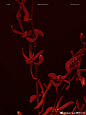 0086XDF4gy1ha5c6u8sk2j30u0140who