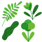 树叶  叶子   png