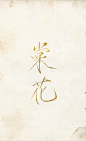 浅浅练手，鸽真6