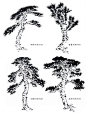 「水墨画基础」松树的画法，保存收藏 - 小红书
