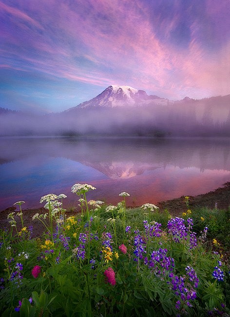 Beauty Mt Rainier