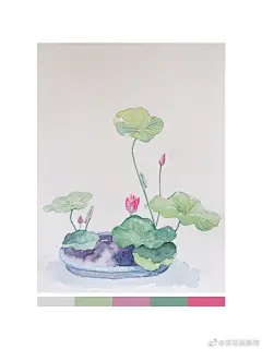 插花手绘超话#手绘# 带色卡版
#我近视但我能看到帅哥# 2郑州 ​​​​