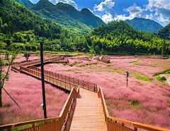 一水景观采集到美丽乡村景观
