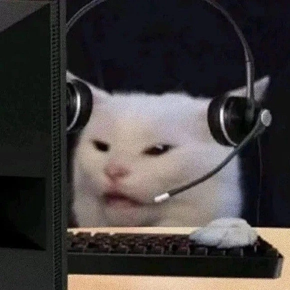 有无这种猫meme_meme图吧_百度贴吧-花瓣网